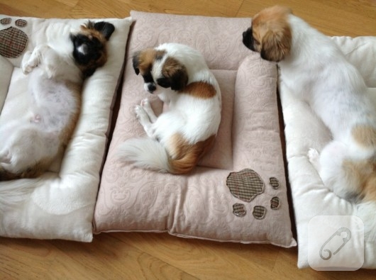 kedi köpek yatağı dikiş