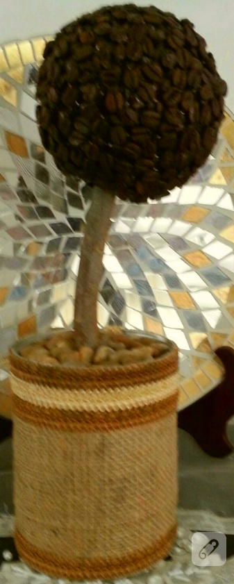 dekoratif kahve ağacı