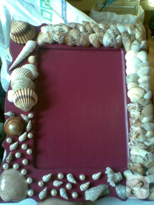 Deniz kabuklarıyla dekoratif süsleme
