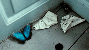 blue-butterfly_123