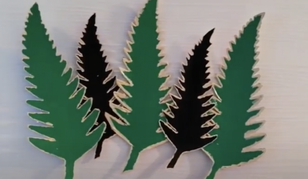 Video: Kağıttan yaprak duvar süsü yapımı